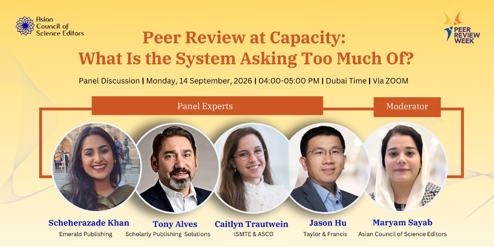 Peer Review at Capacity: What is the System Asking too Much of?